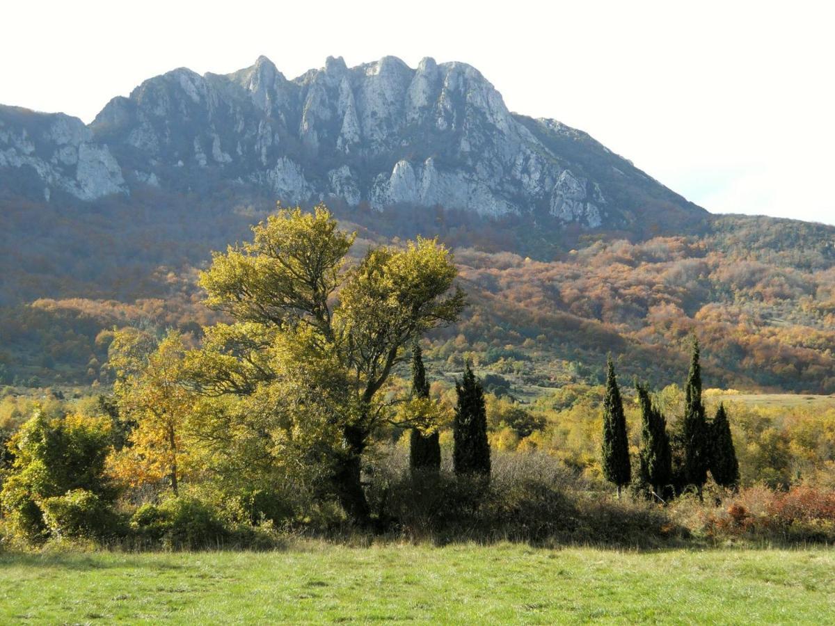 Gite De La Bastide - Cabania Pays Cathare Bed & Breakfast Camps-sur-l'Agly Exterior photo